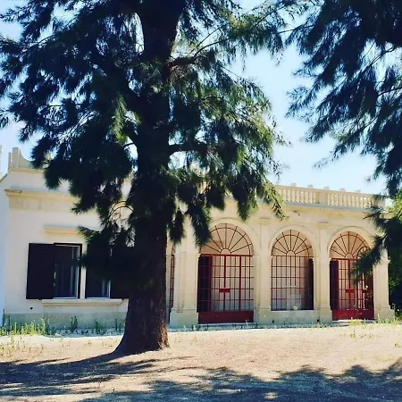 Gentile Galatina